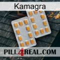 Kamagra cialis4